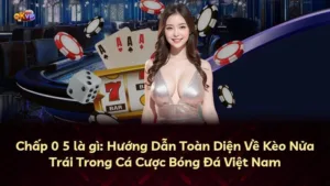 Chấp 0 5 là gì: Hướng Dẫn Toàn Diện Về Kèo Nửa Trái Trong Cá Cược Bóng Đá Việt Nam