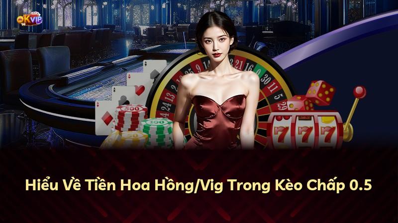 Hiểu Về Tiền Hoa Hồng/Vig Trong Kèo Chấp 0.5
