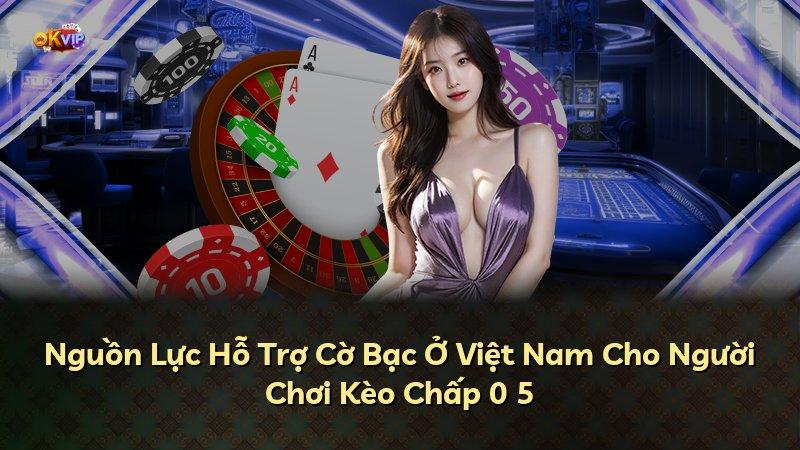 Nguồn Lực Hỗ Trợ Cờ Bạc Ở Việt Nam Cho Người Chơi Kèo Chấp 0 5