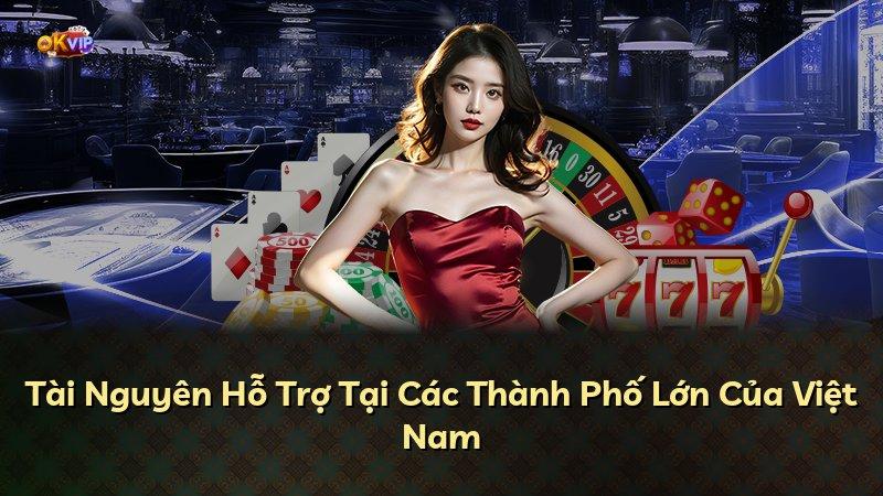 Tài Nguyên Hỗ Trợ Tại Các Thành Phố Lớn Của Việt Nam