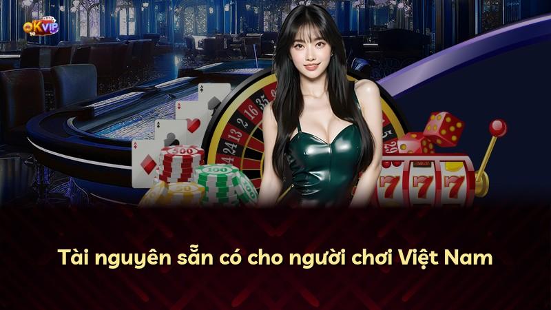 Tài nguyên sẵn có cho người chơi Việt Nam